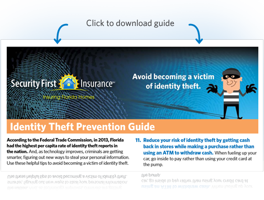 ID Theft Protection Guide