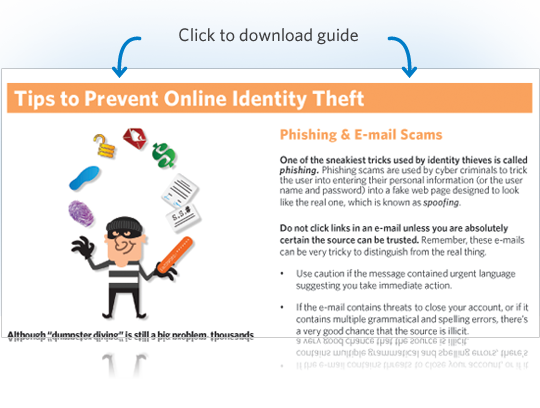 Online ID Theft Protection guide