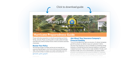 Download Hurricane Prevention Guide