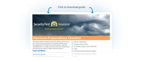Download Hurricane Prevention Checklist