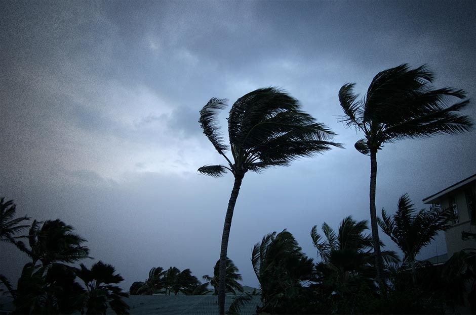 Hurricane Season Disaster Planning and Emergency Essentials