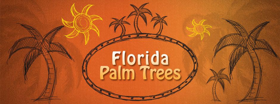 Guide to Florida Home Palm Trees