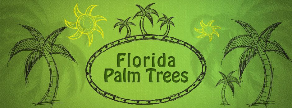 Guide to Florida Palm Trees for Florida Homes